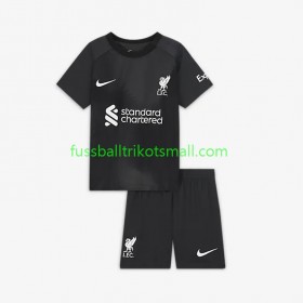 Fußballtrikots Liverpool Torwart Kinder 2022-2023 Kurzarm Auswärts-trikot kaufen